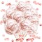 Rose Gold Confetti Latex Balloons, 50pcs 12 Inch Party Balloons